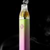 Sluggers Hit Watermelon Zkittles